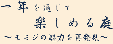 一年を通じて楽しめる庭～モミジの魅力を再発見～